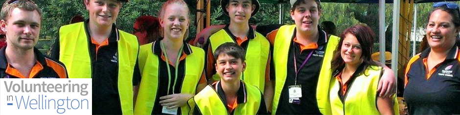Volunteering in Wellington